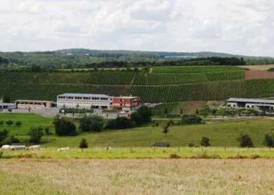 Photo - Le site scolaire Billek