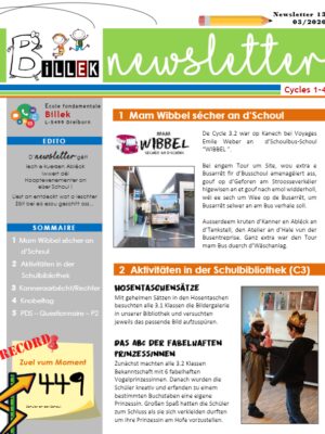 Billek Newsletter 13 - 2020 03